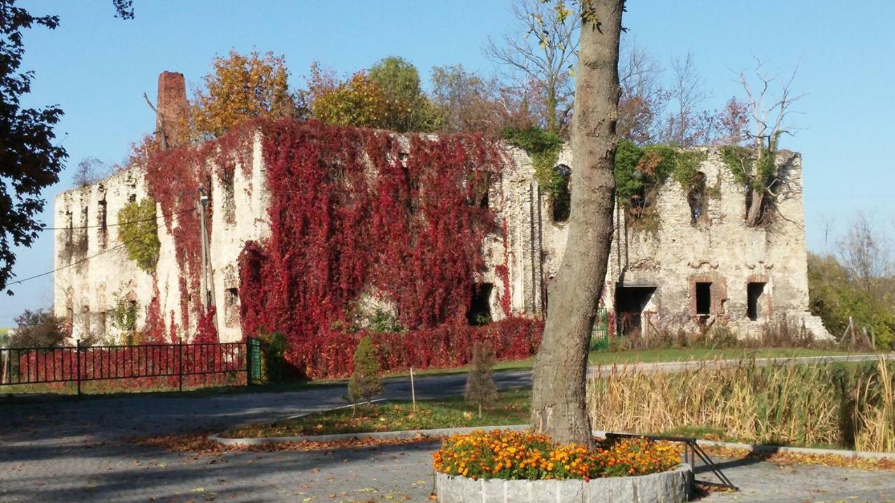 Palac Lucja Bb Zakrzów Exterior foto